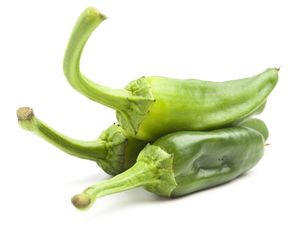 Green basque country peppers