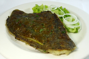 Grilled turbot with salad