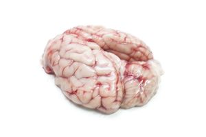 Lamb brains