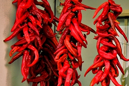Choricero pepper