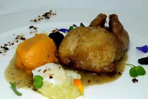 Filled quail with Perigord sauce