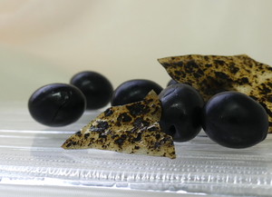Híbrido de oliva negra